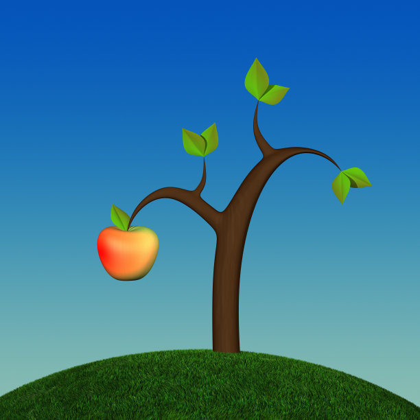 第一个苹果XL +图片下载