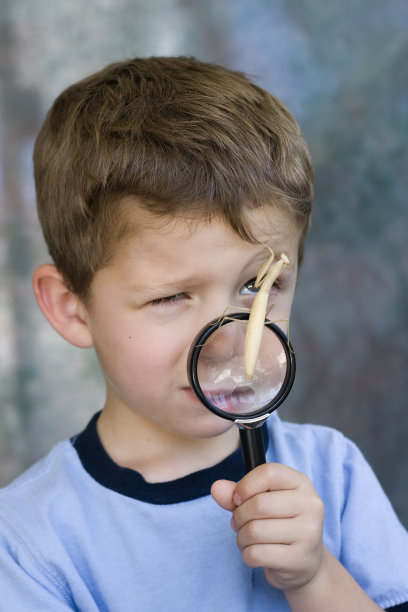 男孩和螳螂图片下载