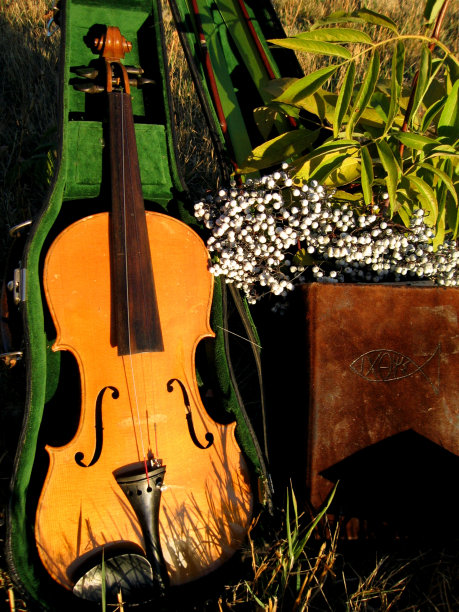 ⼩提琴和圣经图片下载