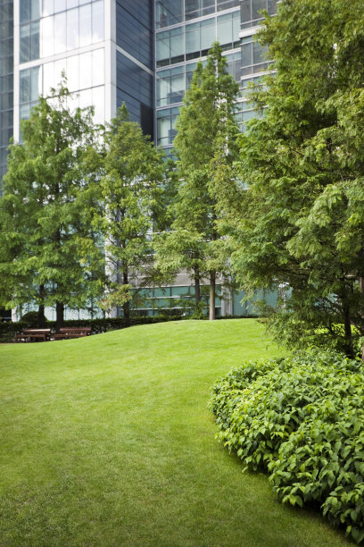 伦敦金丝雀码头公园的现代建筑图片下载