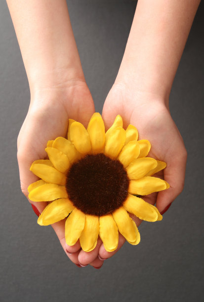 拿着向日葵图片下载