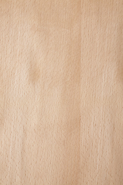 木材纹理-山毛榉图片下载