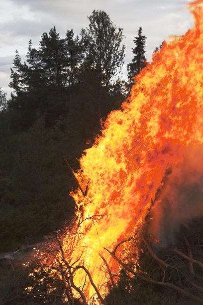 在夏天篝火。图片下载