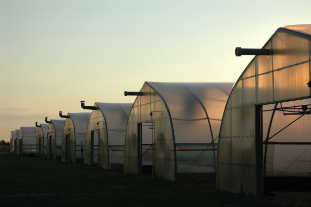 温室行图片下载
