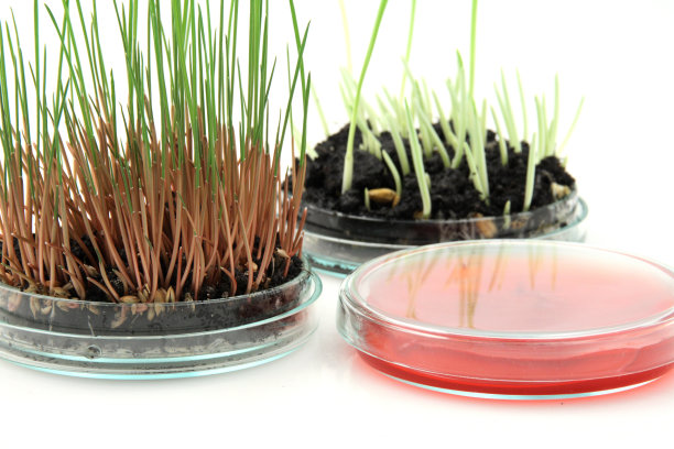 实验室培养图片下载