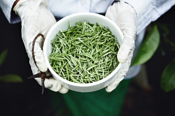 白茶选择器素材图片