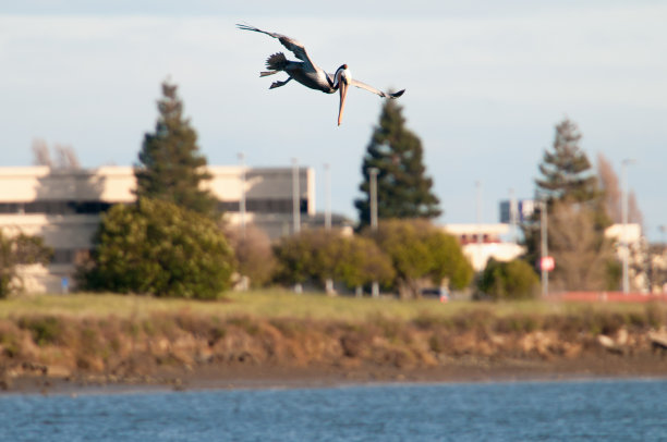 准备罢工图片下载