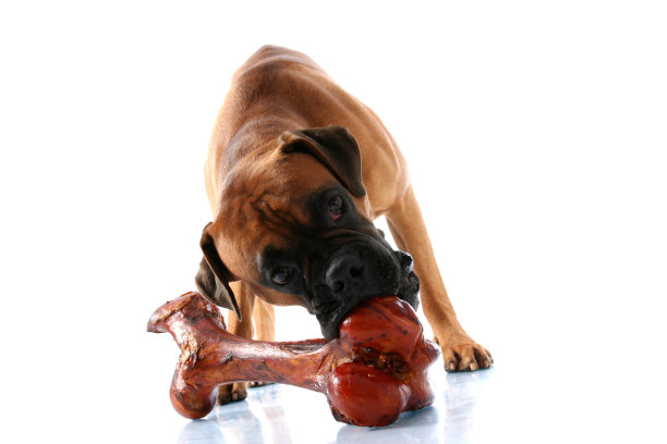 大骨粉图片下载