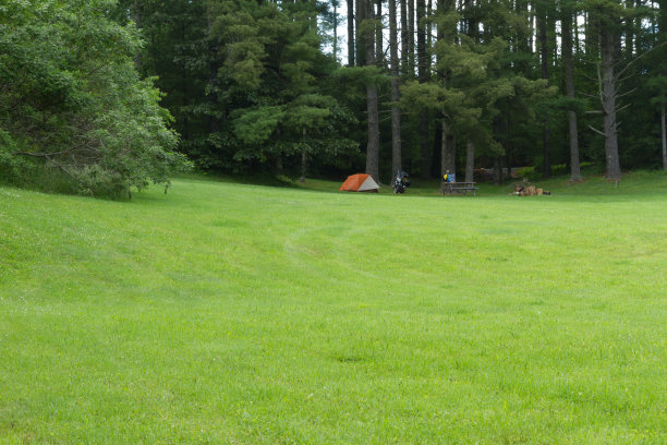宁静的营地，在营地的树荫下。图片下载