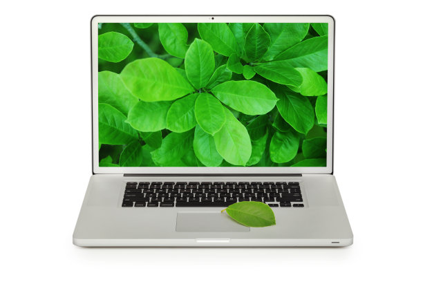 现代笔记本电脑与木兰树叶-前视图图片下载