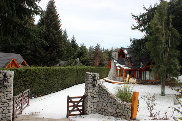 阿根廷Villa La Angostura城的典型房子图片下载