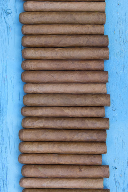 蓝色背景上的一排排古巴雪茄图片下载
