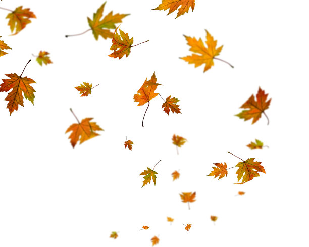 多风的秋天图片下载