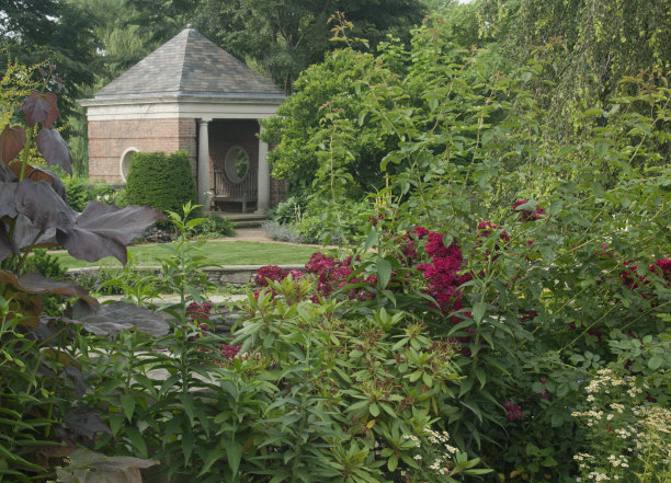 夏天的花园图片下载