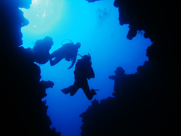 人们在海里游泳图片下载