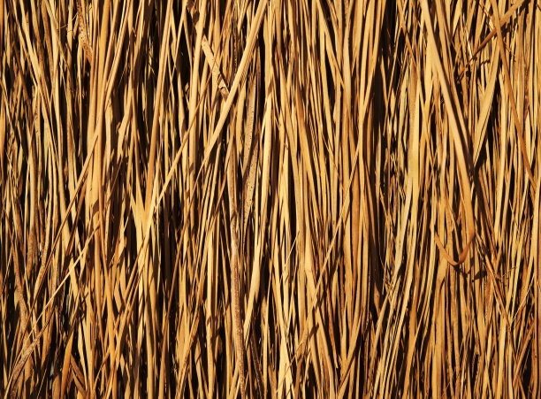 里德纹理图片下载