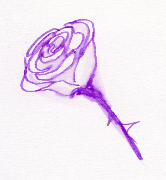 画水彩玫瑰图片下载