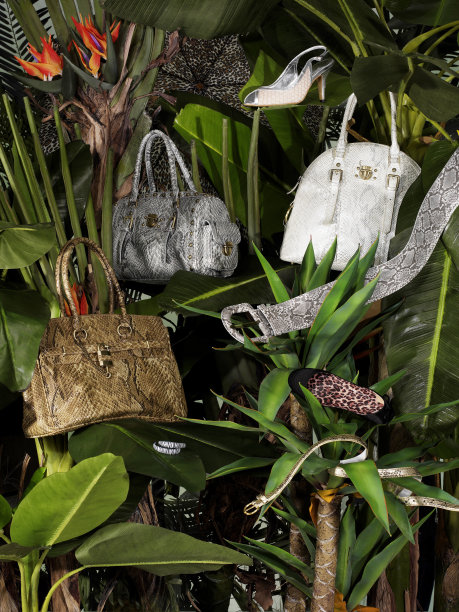 热带配件图片下载