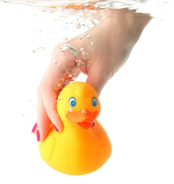 鸭子在水里图片下载