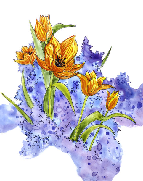 郁金香的宝藏图片下载