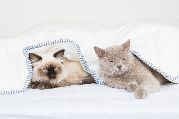 时间玩图片下载