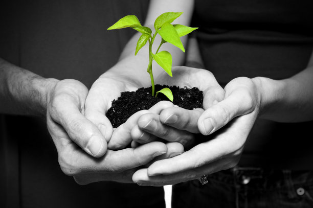 在一起图片下载