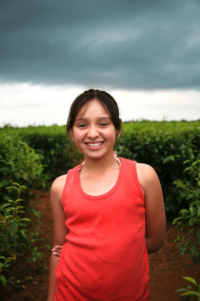 茶园里的小女孩图片下载