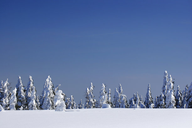 冬天荒野四世图片下载