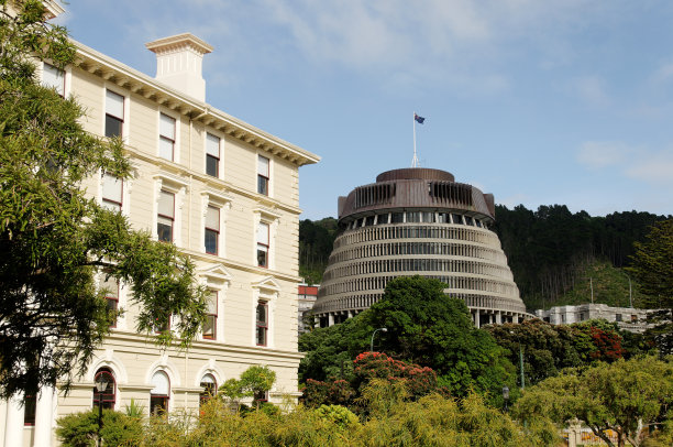 惠灵顿的蜂巢图片下载