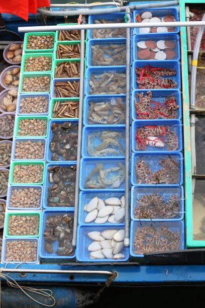 海鲜图片下载