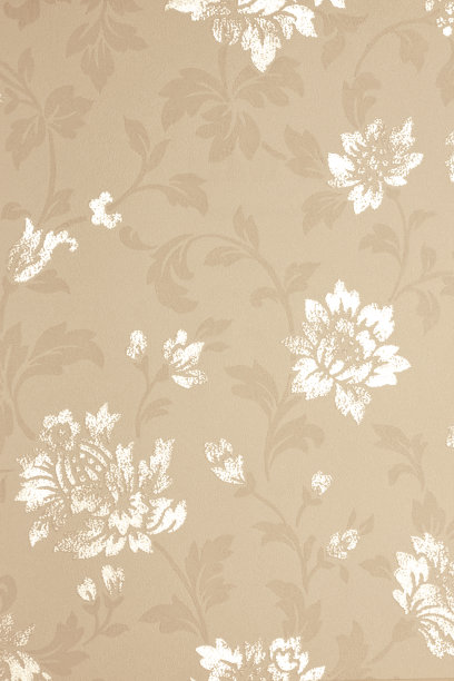 壁纸背景图片下载