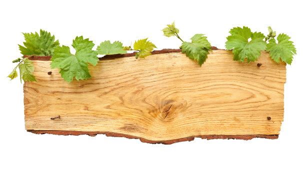 老橡树板图片下载