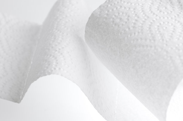 优雅的曲线厕纸图片下载