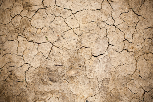 土壤干燥开裂图片下载
