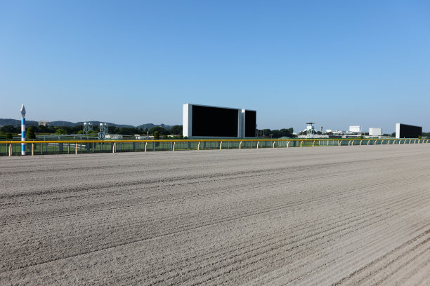 赛马跑道图片下载