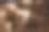 友好的酒吧场景与自然照明图片下载