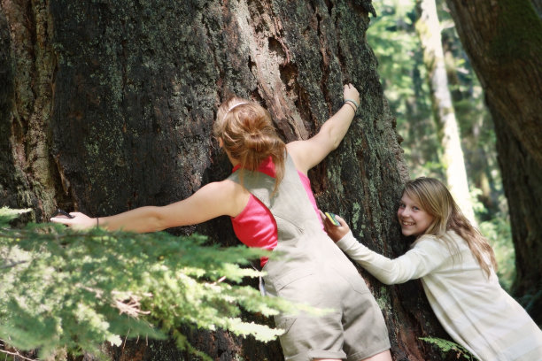 树木拥抱图片下载