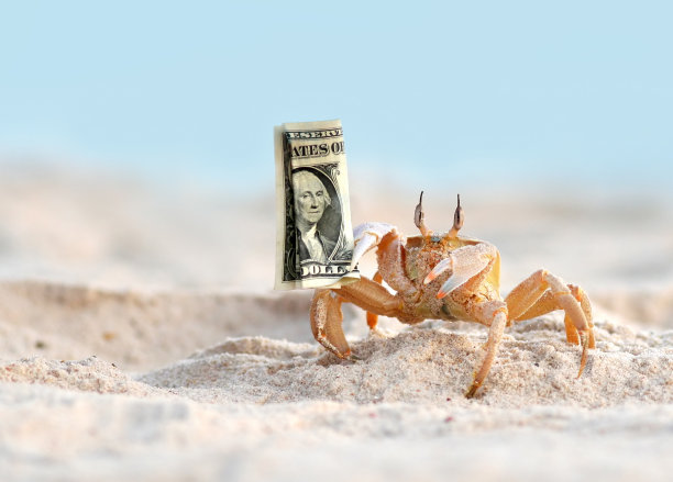 抱着一美元的螃蟹图片下载