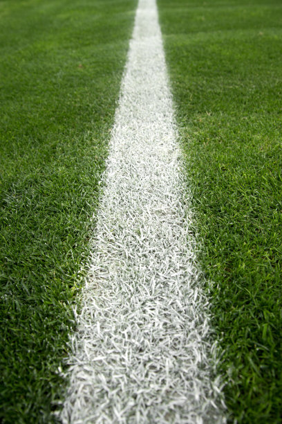 足球场图片下载