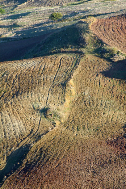 开垦的土地上垂直图片下载