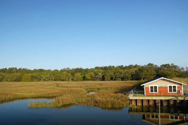 乔治亚州圣西蒙岛素材图片