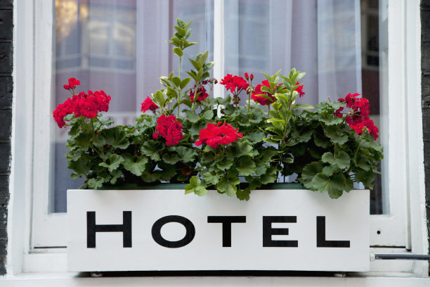 酒店花盒图片下载