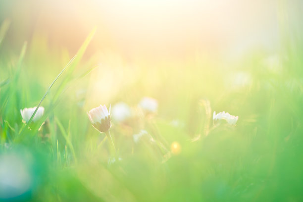 背景图照片素材ID：145025302