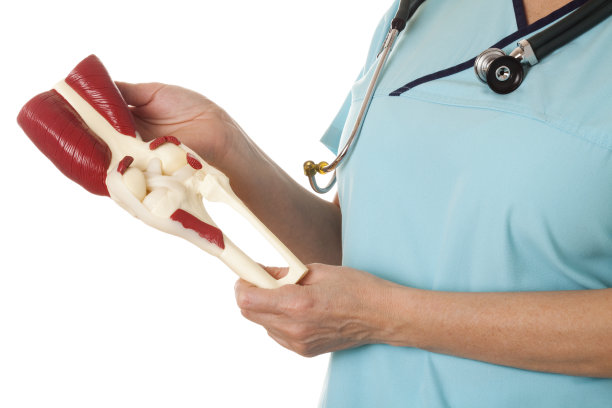 人的膝盖图片下载