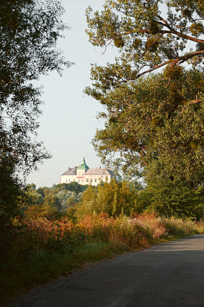 通往城堡的路图片下载
