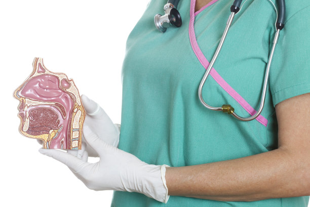 鼻窦和鼻腔解剖学图片下载