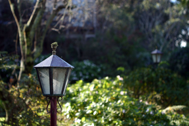 带灯维多利亚式花园图片下载