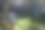 带灯维多利亚式花园图片下载