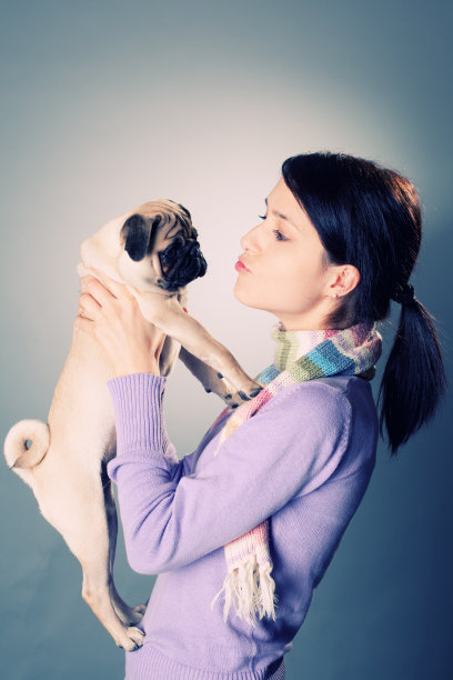 小哈巴狗图片下载