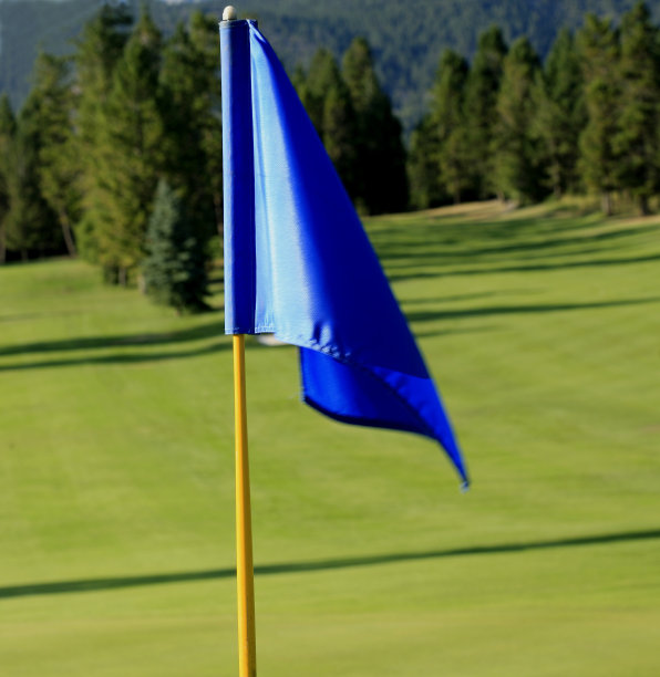 高尔夫球场上的蓝旗图片下载